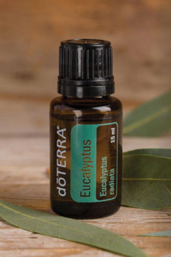 Eukalyptusöl - doTERRA Eucalyptus