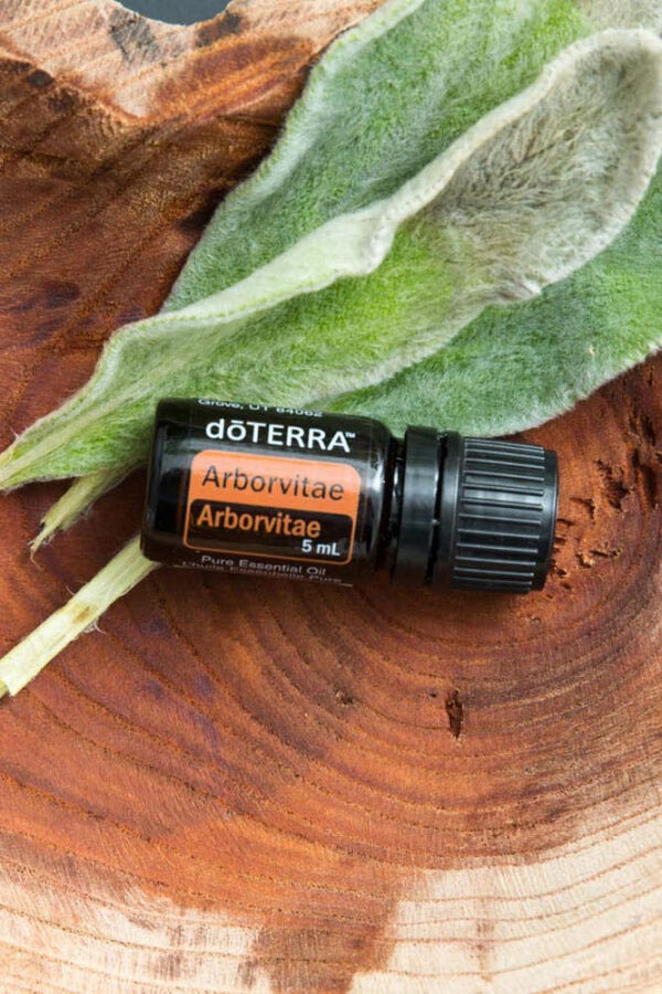 Uleiul Arborele vieții - doTERRA Arborvitae