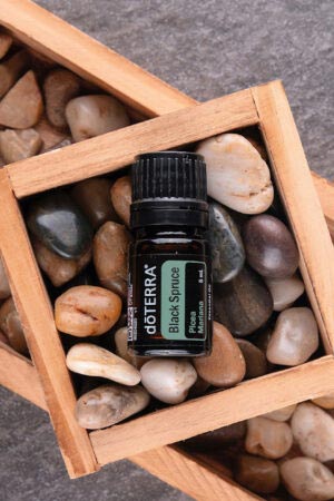 Ulei de molid negru - doTERRA Black Spruce