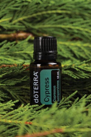 Ulei de chiparos - doTERRA Cypress