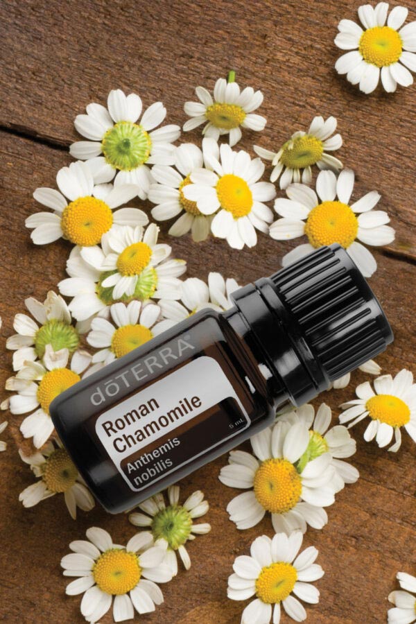 Ulei de mușețel - doTERRA Roman Chamomile